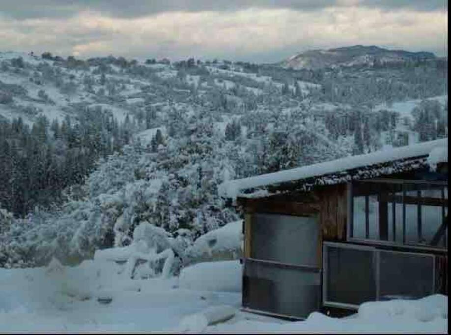 Walnut Chalet