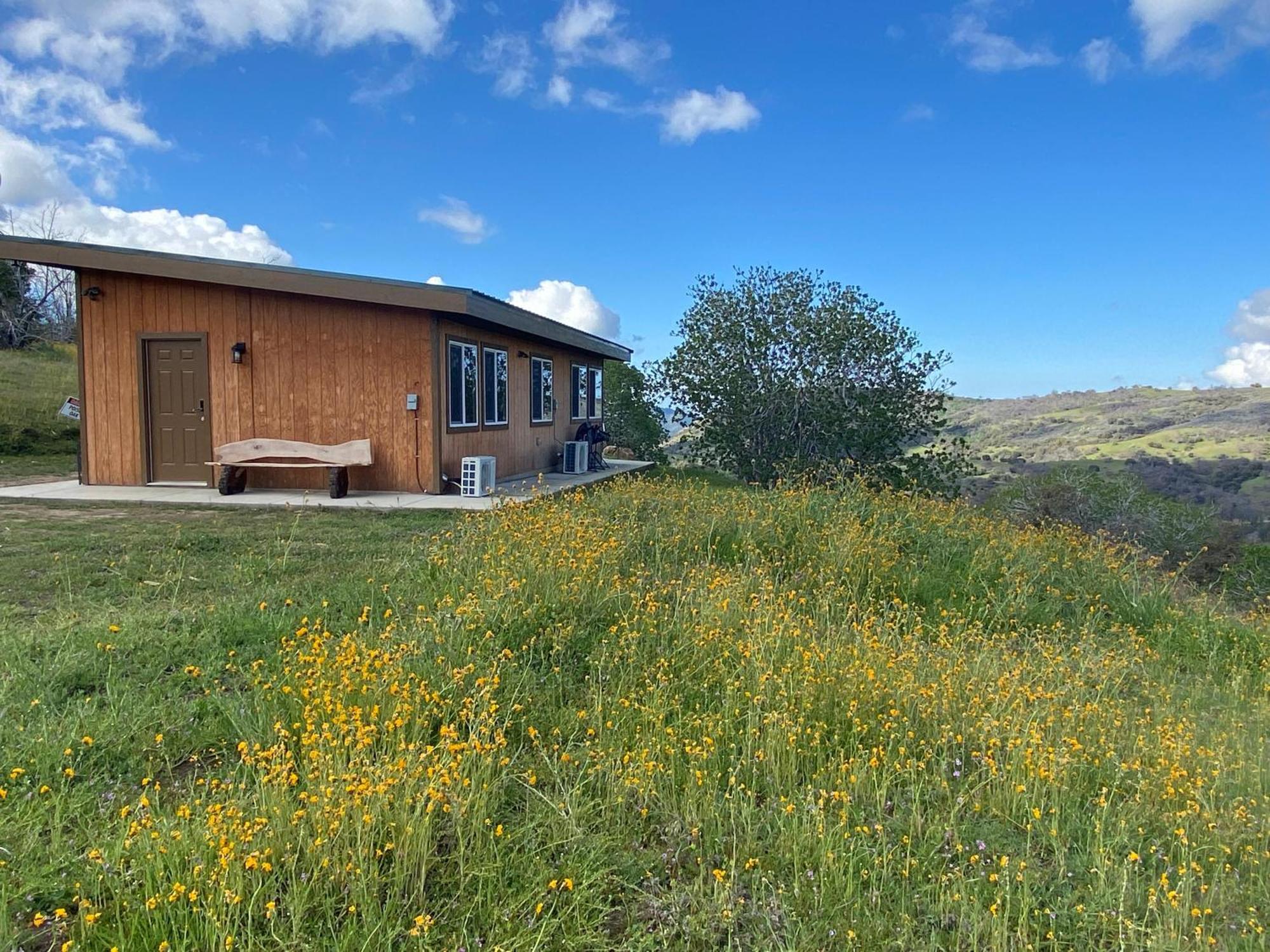 Chalet Walnut Badger